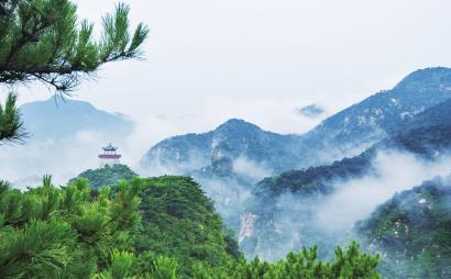 逃离白鸽之森